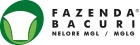 Fazenda Bacuri