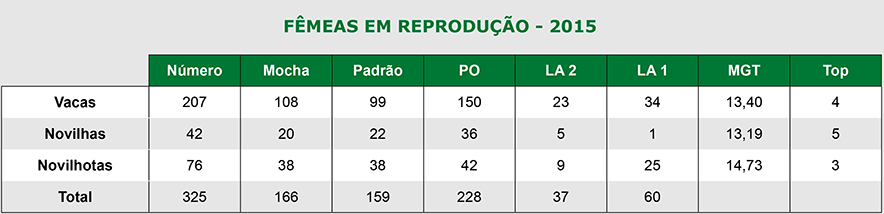 Fêmeas em reprodução
